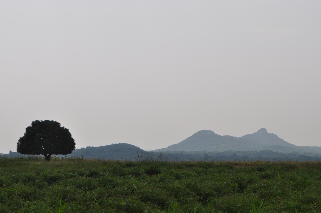 LRA
