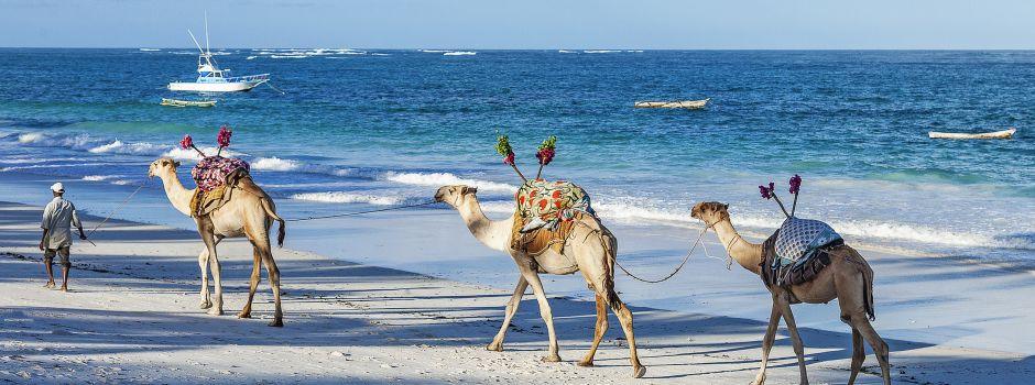 Kenya's Beautiful Coastline